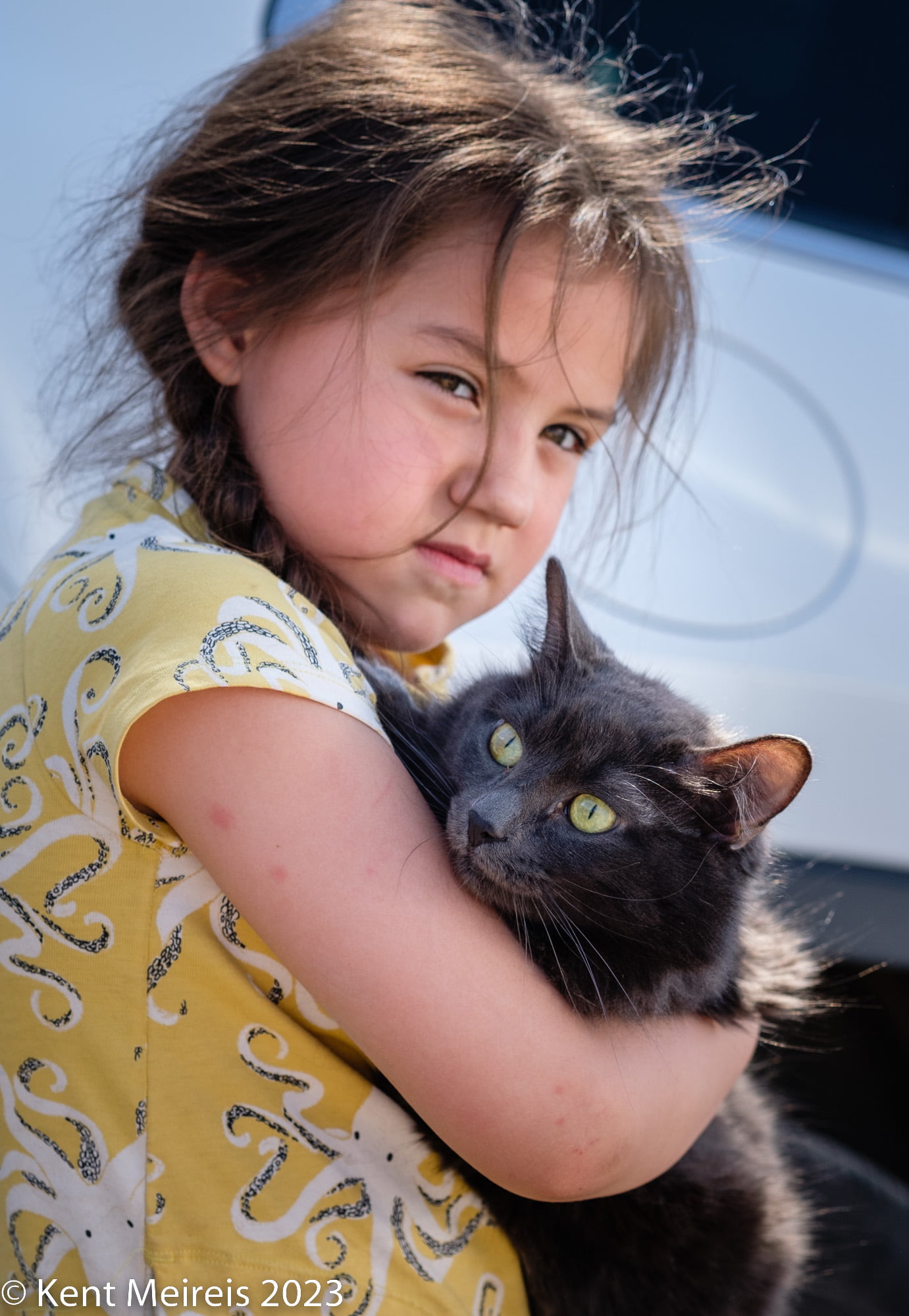 Arlee Spay and Neuter Clinic